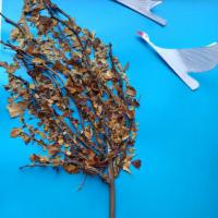 10 группа Никита