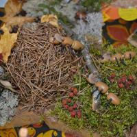 Осенние истории