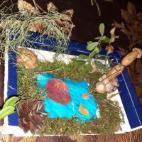 Настя Ш. 5 группа