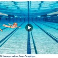 Соревнование по плаванию