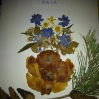 Василиса 9 группа